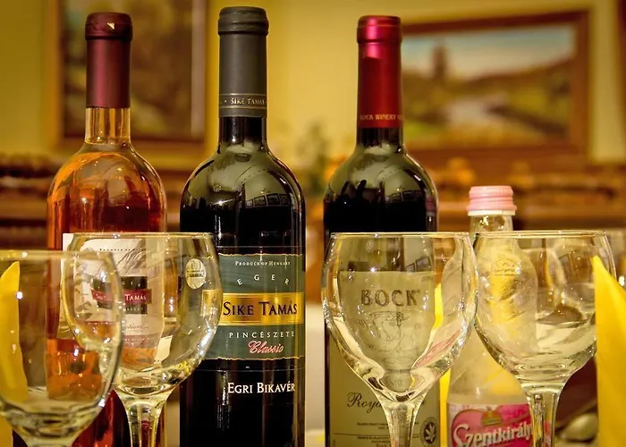 Hotel Unio Superior 3*